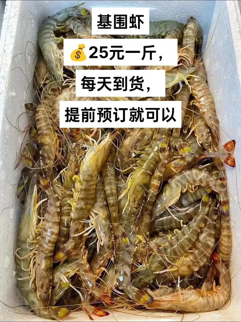 长沙马王堆基围虾价格-图1