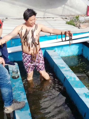 张长威的水蛭养殖技术有何秘诀？-图1