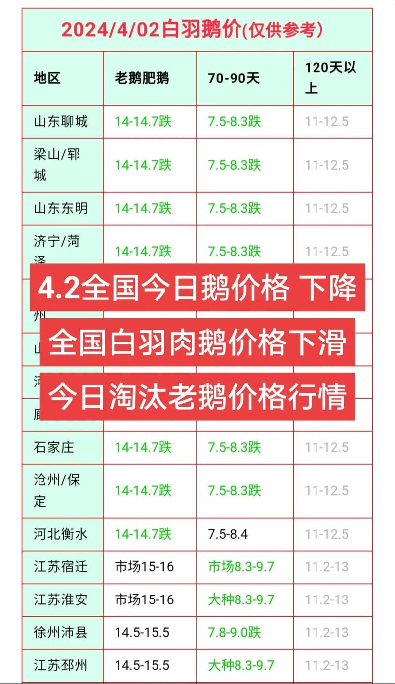 菏泽鹅苗最新价多少？-图3