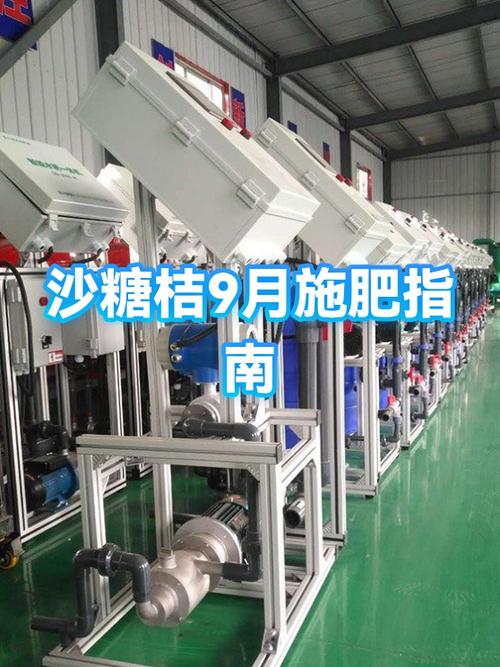 沙糖桔施肥管理有哪些关键技术？-图1