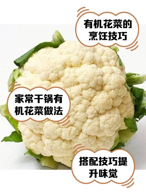有机花菜怎么种？视频教你关键技术！-图1