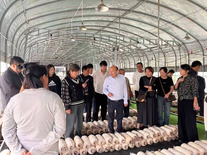 香菇种植技术培训视频，新手如何快速掌握？-图1