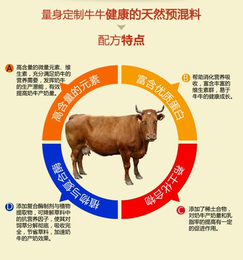 什么牛不是产奶的牛？-图3