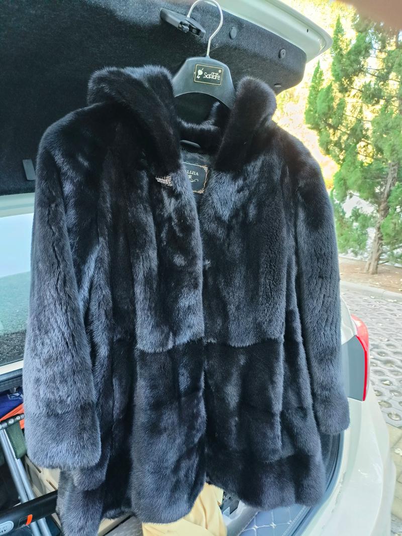 今日河北尚村貂皮价格多少？-图2