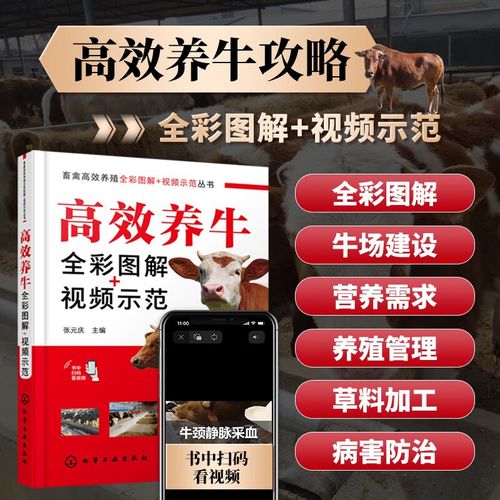 牛的饲料与管理技术如何高效结合？-图3