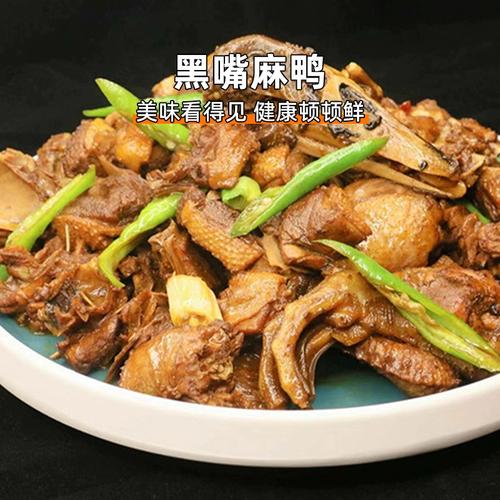 黑嘴鸭子是哪个品种？-图1