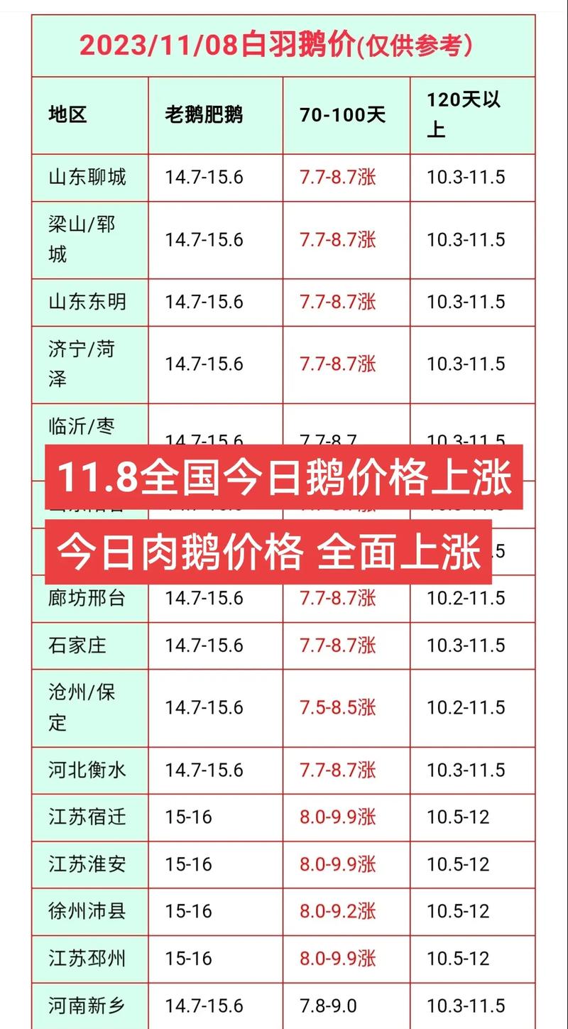 山东活鹅价格现在多少钱一斤？-图1