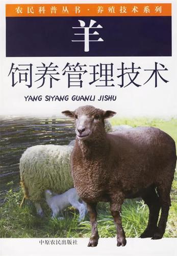 母羊饲养管理有哪些关键技术？-图2