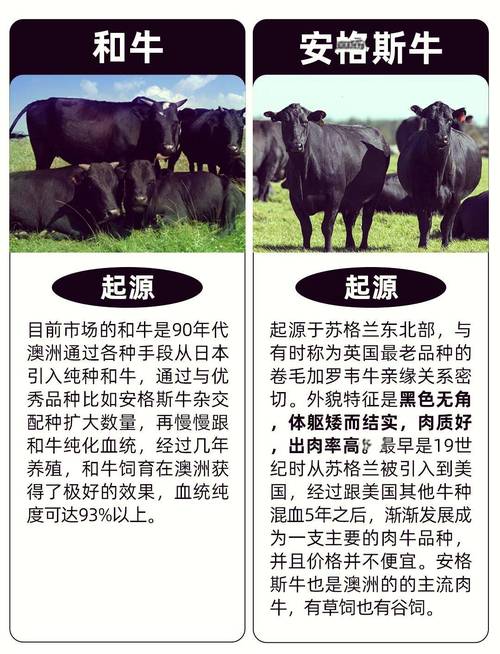 牛品种改良大多采用什么技术？-图3