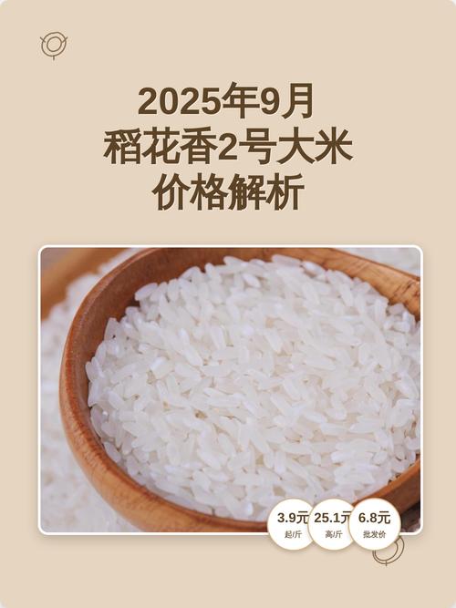 2025年今日大米价格多少？-图3