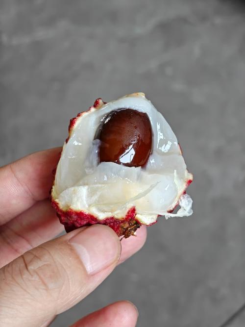 荔枝大核是哪个品种？-图2