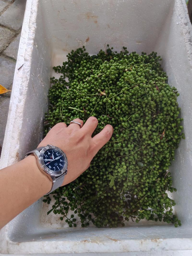 2025重庆花椒价格会涨还是跌？-图3