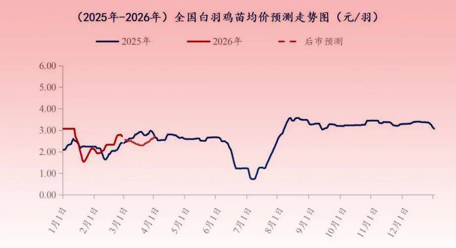 今日毛鸡价格涨了吗？-图2