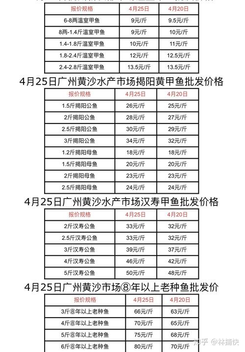 最新温室甲鱼价格行情如何？-图3