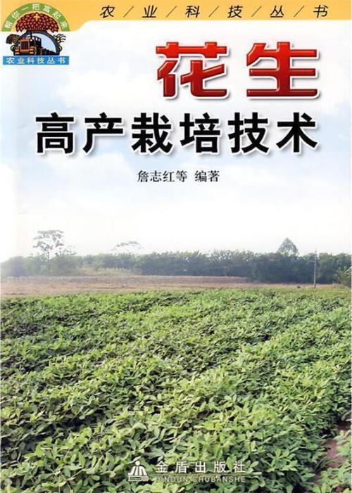 花生覆膜春播，高产技术关键何在？-图1