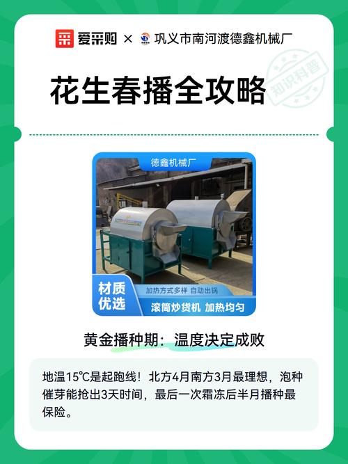 花生覆膜春播，高产技术关键何在？-图2