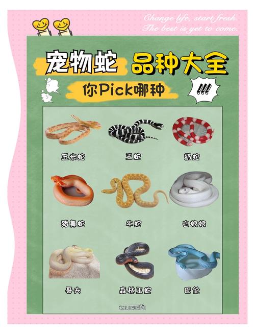 养殖蛇与野生蛇品种有何差异？-图3