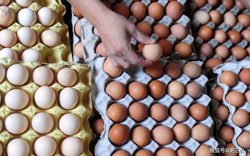 唐山鸡蛋今日价格多少钱一斤？-图3