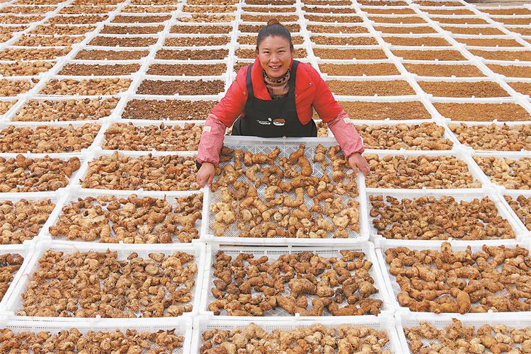 黄精种植亩产究竟有多少？-图2