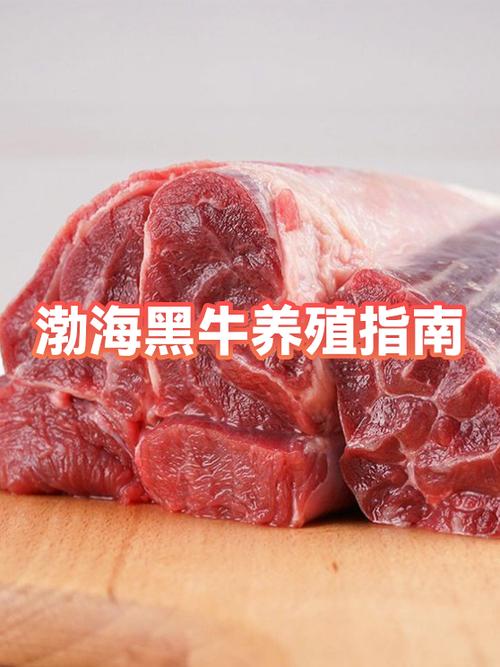 国产黑牛是哪个品种？-图3