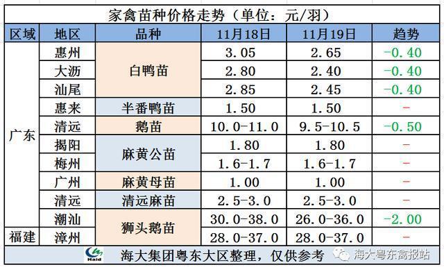 山东鸭苗价格后市会涨还是跌？-图2