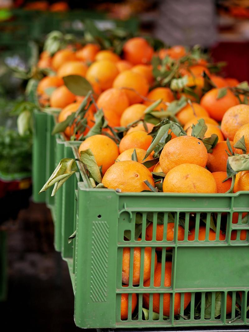 目前最高端的桔品种-图1