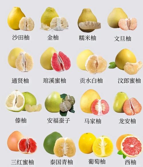 哪些品种的柚子籽比较大？-图2