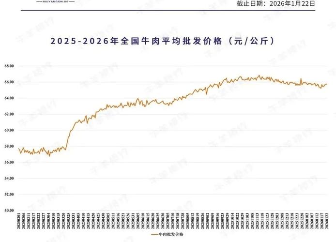 今日肉牛价格是涨还是跌？-图3