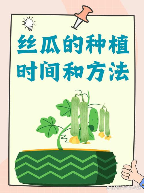 丝瓜怎么种植技术视频-图1
