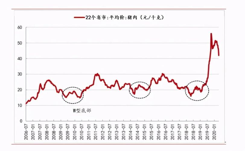 山西猪肉价格未来怎么走？-图2