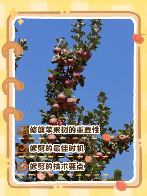 苹果首年管理关键点有哪些？-图1