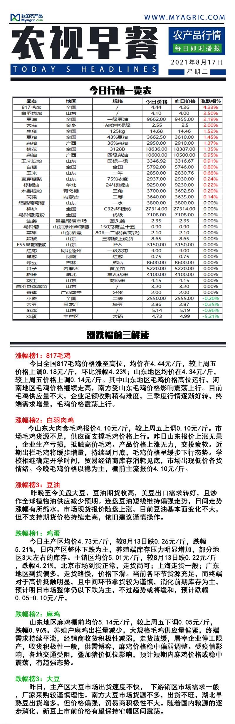817毛鸡价格今日如何？-图1