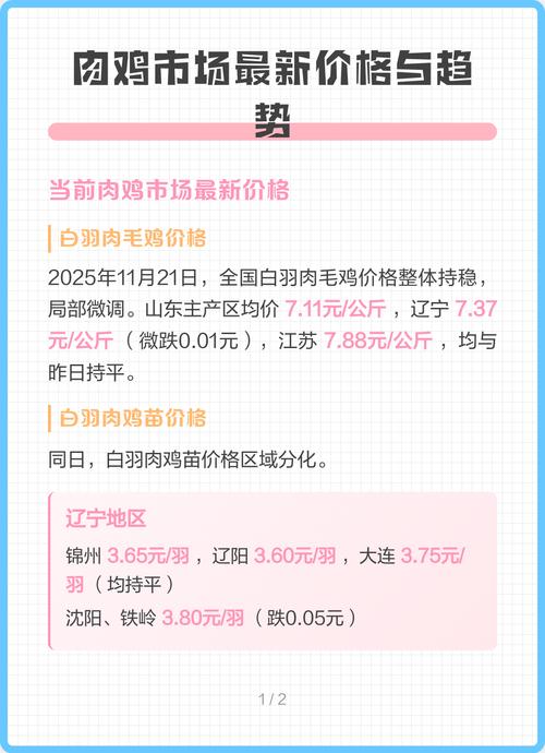 817毛鸡价格今日如何？-图3