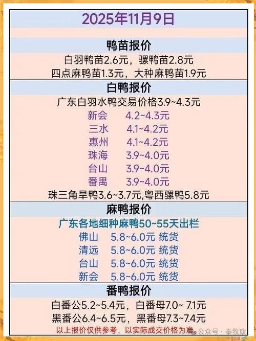 2025麻鸭价格行情如何？-图1