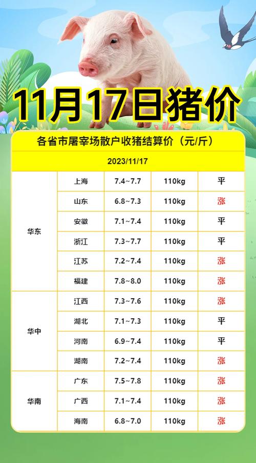 山东今日小猪价格多少钱一斤？-图1