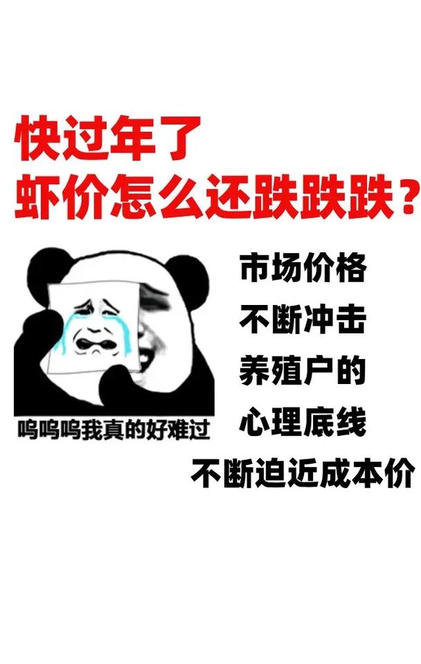 今年南美白对虾价格为何波动这么大？-图2
