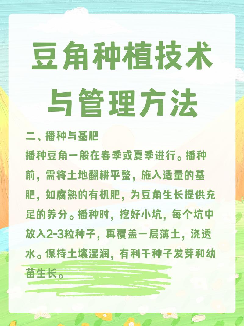 豆角栽培管理关键技术有哪些？-图2
