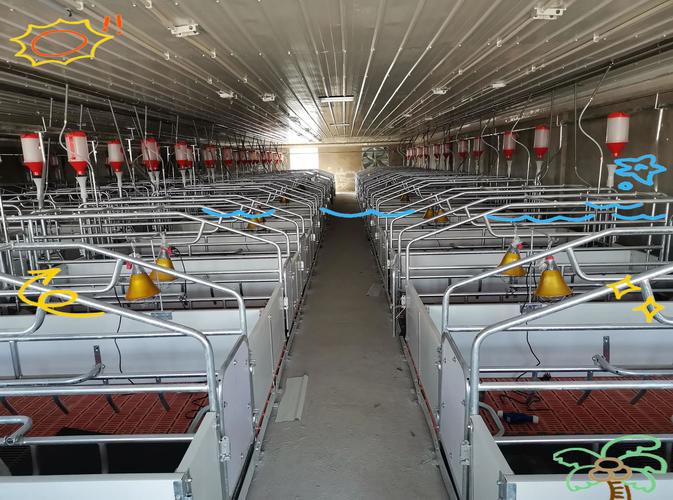 高科技养猪新技术视频有哪些亮点？-图3