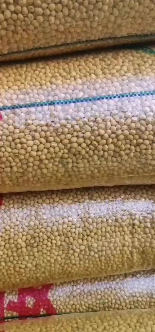 安徽宿州最新大豆价格多少？-图1