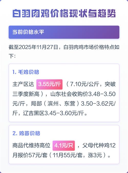 山东今日白羽肉鸡价格多少钱一斤？-图2