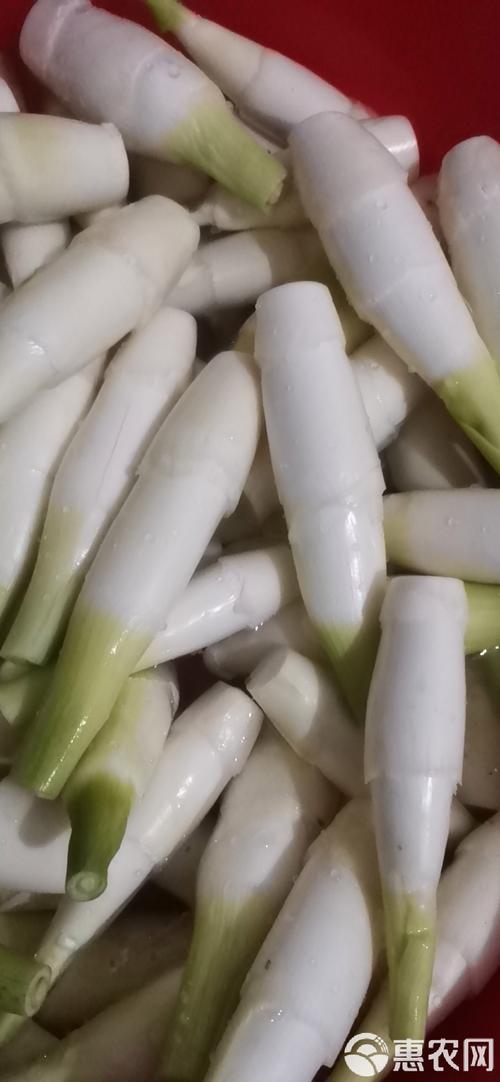 茭白套养泥鳅怎么操作？-图2