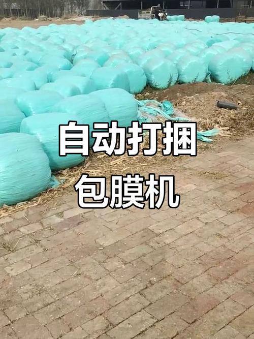 袋装玉米秸秆青储技术要点有哪些？-图1