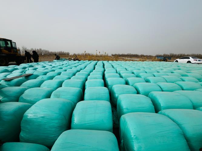 袋装玉米秸秆青储技术要点有哪些？-图2