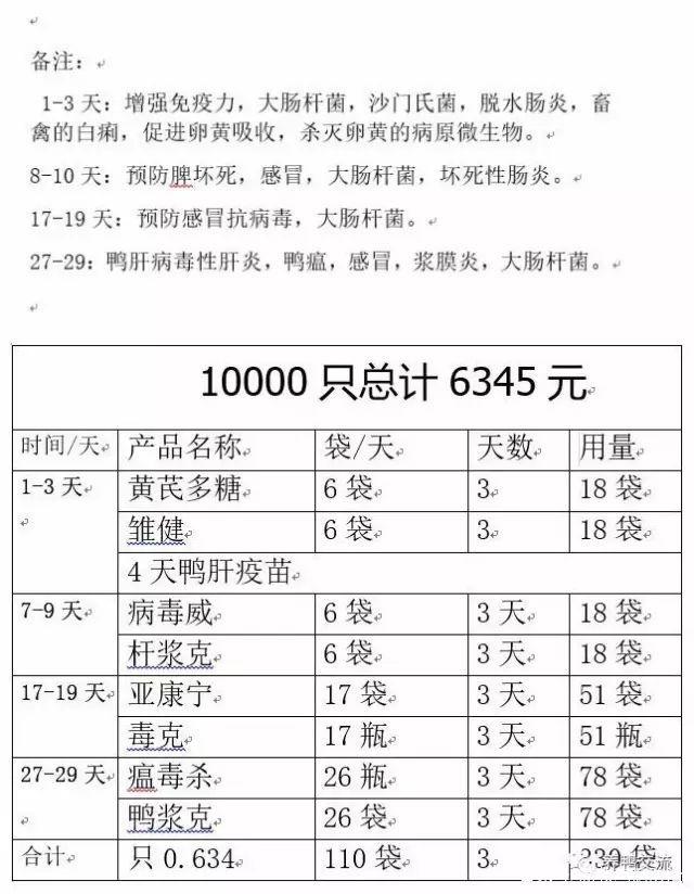 鸭子养殖成本与技术要点有哪些？-图2