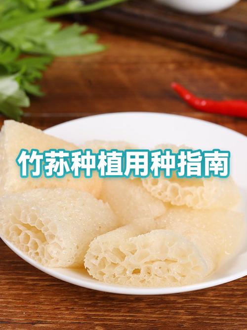 竹荪种植技术视频教程怎么学？-图1