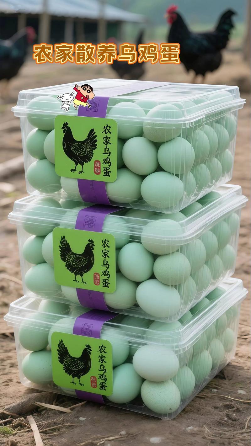 2025年绿壳鸡蛋价格会涨还是跌？-图1