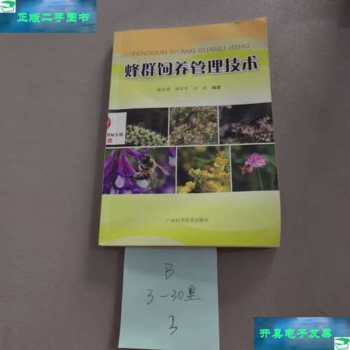 蜜蜂养殖管理技术有哪些关键要点？-图2