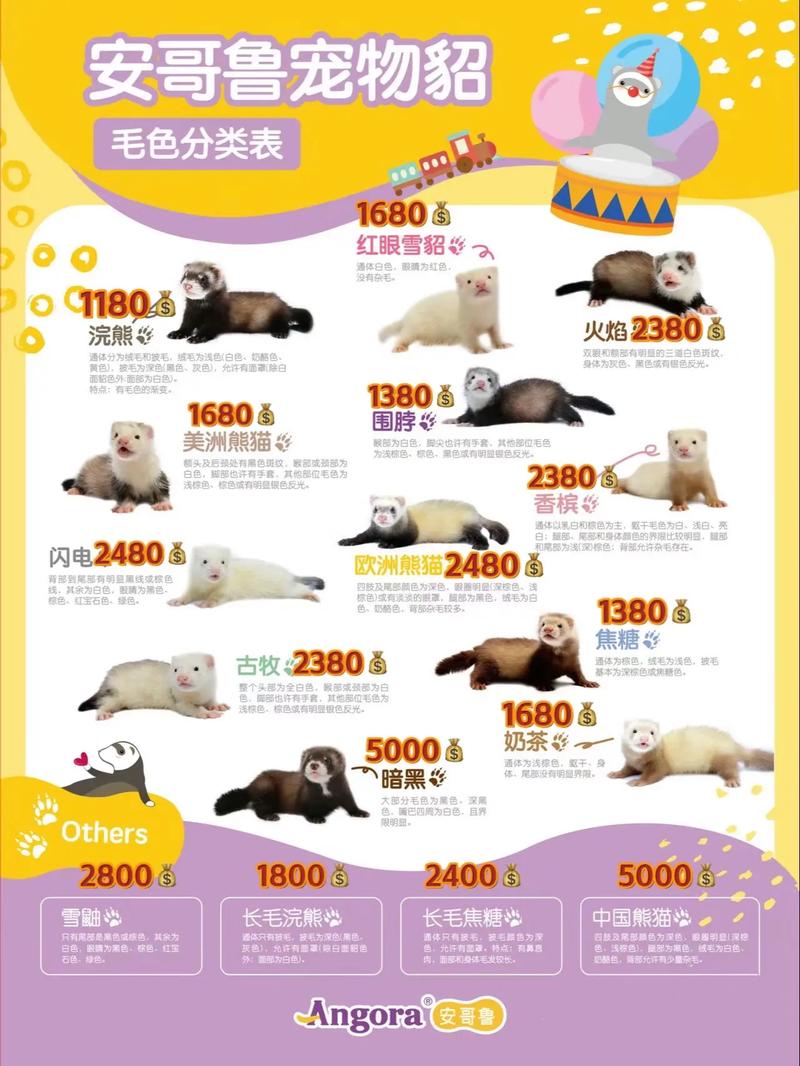 东北貂皮价格现在行情怎么样？-图2