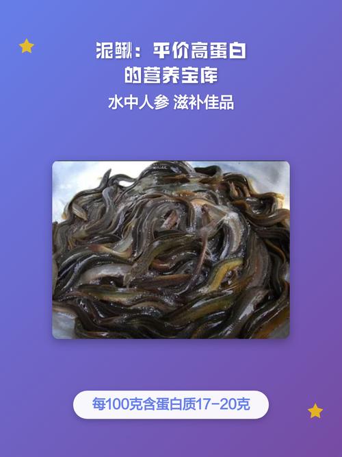 今日泥鳅价格多少钱一斤？-图2