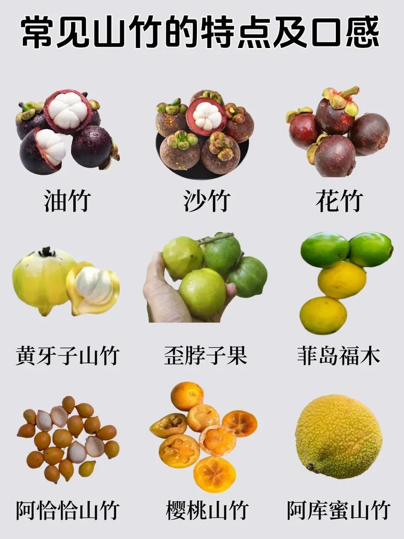 山竹哪个品种最好吃？-图1